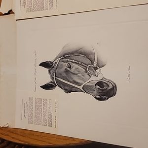 1975, 76, and 77 KY Derby Winner Prints